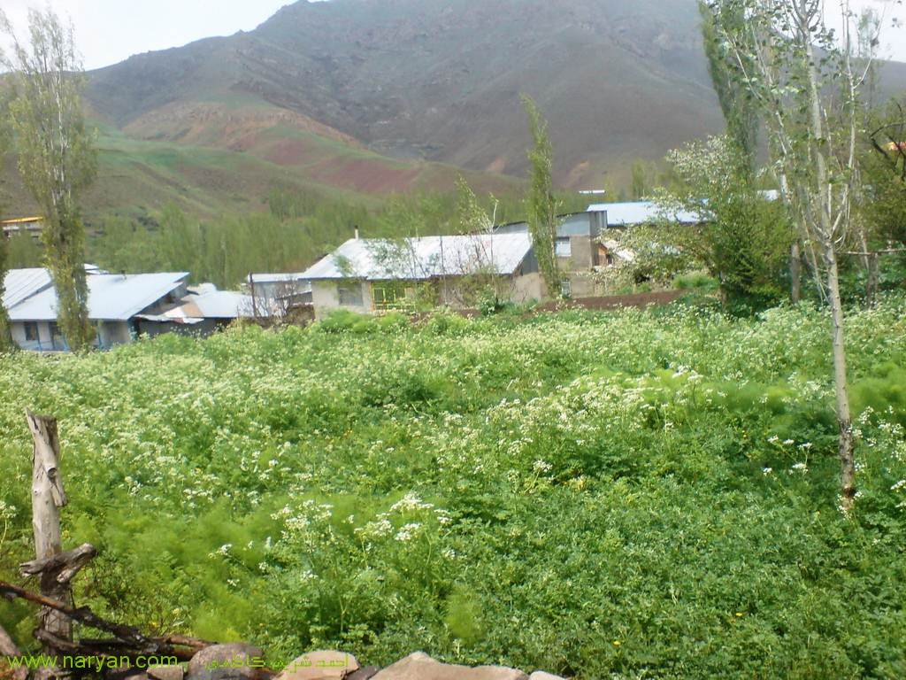 AhmadSharifKazemi1393 (11).jpg
